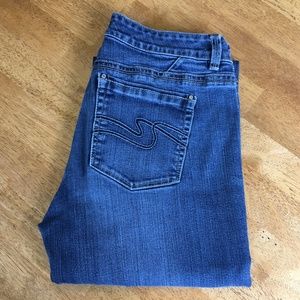 Jeans, WHBM Contour Flare